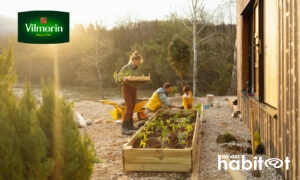 Vilmorin renouvelle ses gammes pour 2026 et accélère sa transition écologique