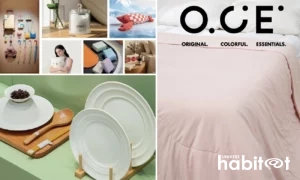 O.C.E., enseigne chinoise de décoration, s’implante en France