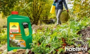 Neudorff met en avant son désherbant polyvalent